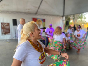 Comitê de Cultura do DF oferece oficina virtual de orientações para o FAC nº 2/2025