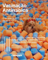 Campanha de vacinação antirrábica acontece no Casapark Campanha de vacinação antirrábica acontece no Casapark